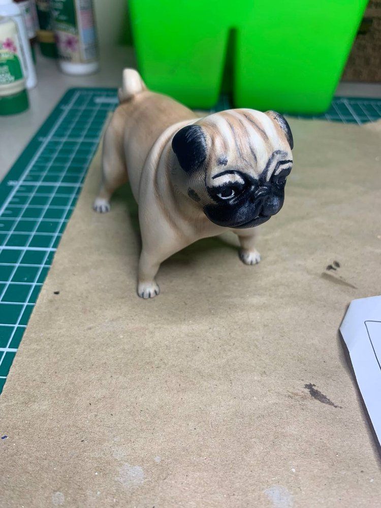 Pug